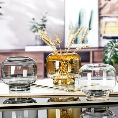 圆形简约原色大肚玻璃花瓶透明水养鲜花干花插花客厅餐厅装饰摆件