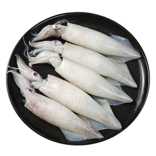 海兔子满籽带籽新鲜冷冻墨鱼仔冷冻比管笔管鱼海鲜全籽乌贼顺丰