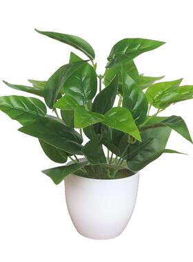 仿真植物室内外装饰塑料绿萝小