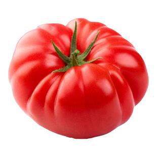 冰淇淋马蹄大番茄种籽苗老品种西红柿种子春四季阳台盆栽蔬菜秧孑