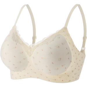 【拾纤】法式蕾丝小胸聚拢内衣女