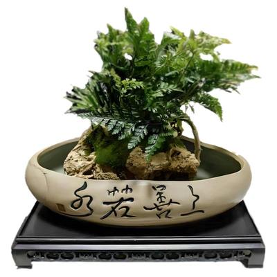 上水石盆吸水石底座陶瓷花盆假山盆景装饰养鱼水培水仙碗莲铜钱草