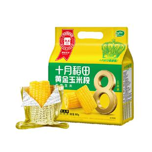 十月稻田黄金玉米段800g黄糯玉米东北黏糯玉米低脂