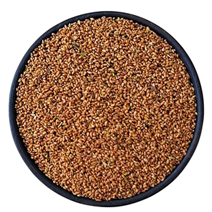 花卉美丽月见草月见草种子草种子夜来香种子多年生驱蚊草阳台盆栽