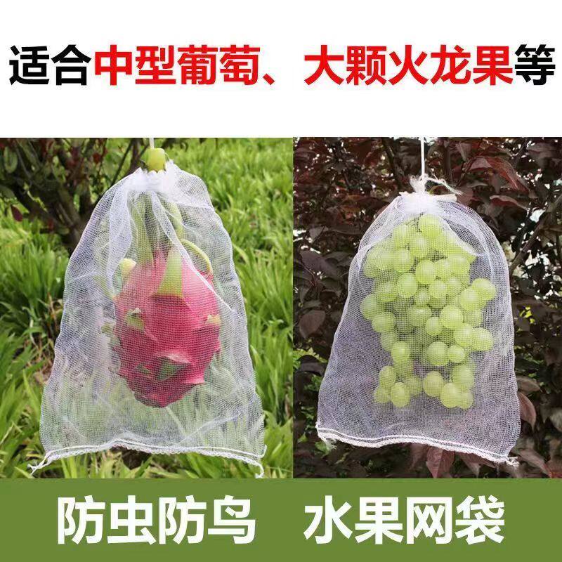 加密透气防虫纱网袋葡萄火龙果枇杷果树瓜果防鸟专用套袋