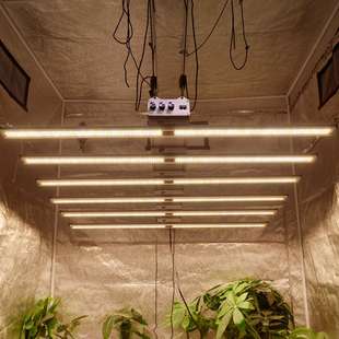 模拟太阳日光全光谱室内led植物生长灯条温室大棚植物助长补光灯