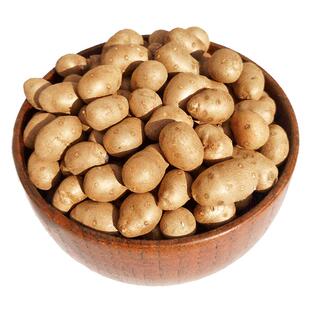 山东正宗新鲜山药豆精品白玉淮山豆大号冰糖葫芦豆大果产地直发