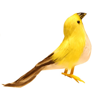 仿真乌鸦摆件仿真八哥斑鸠万圣节道具仿真鸟鸦工艺品假鸟模型摆件