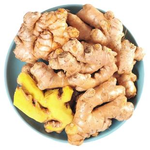 云南小黄姜老姜生姜新鲜黄姜土姜现挖子姜嫩姜鲜姜嫩姜牙10斤包邮