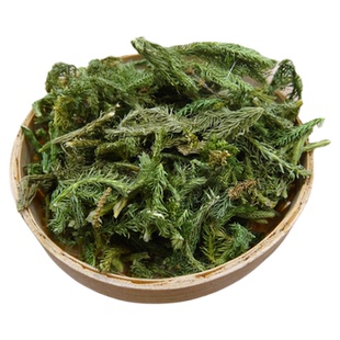 伸筋草 中药材 野生道地新货 自然晒干散装中草药