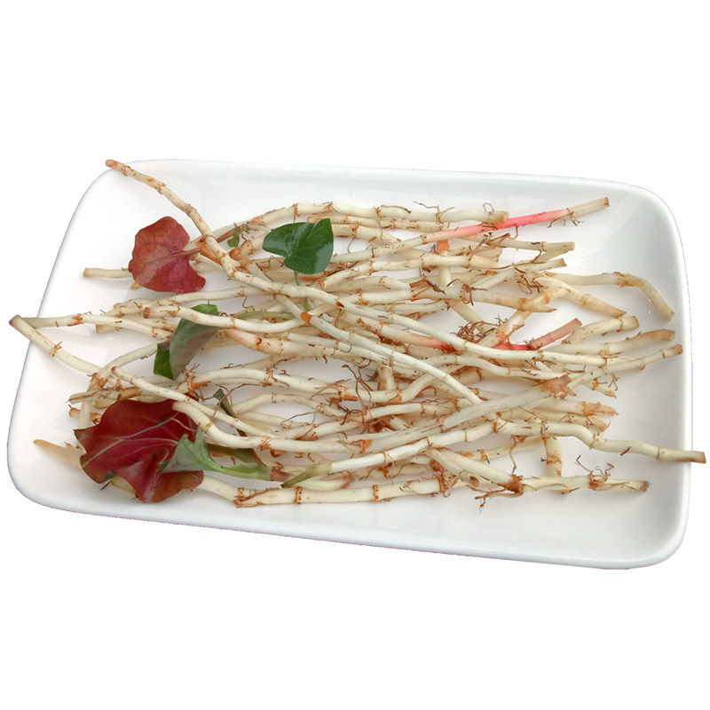 鱼腥草新鲜四川特产凉拌现挖500g