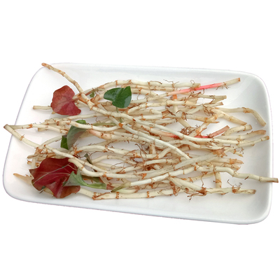 鱼腥草新鲜四川特产凉拌现挖500g