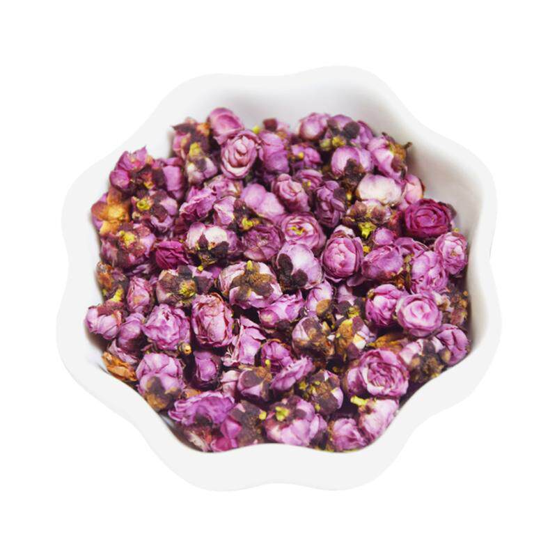白梅花绿萼梅饱满干净白梅花