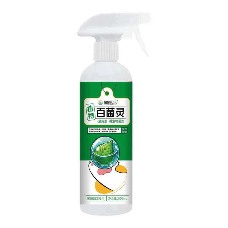 月季花黄叶黑斑病专用药干尖发黄叶斑炭疽杀菌月季病虫害常用药