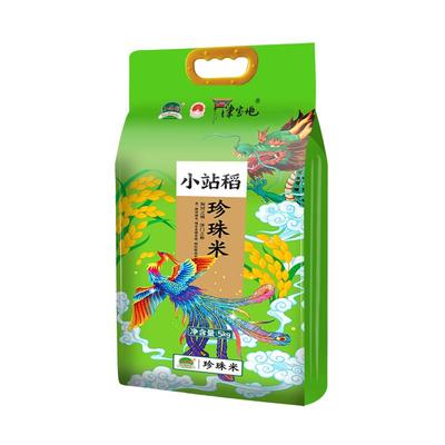 2025新米天津小站稻北方一季米