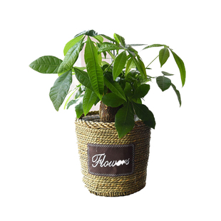 北欧草编花盆藤编花篮绿萝创意编织竹编竹筐编织篮竹篮简约装饰