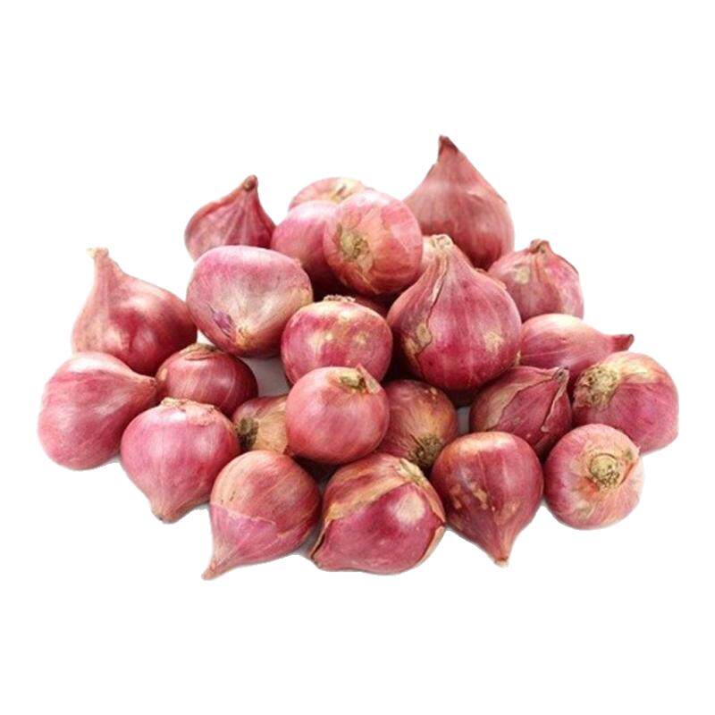 【沁蕊】迷你洋葱小洋西餐500g