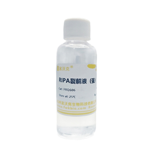 RIPA强裂解液 细胞组织裂解液 蛋白提取实验试剂  PAGE/WB
