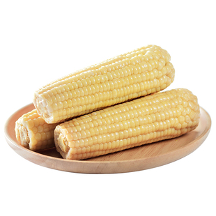 玉米苗秧苞谷苗棒子苞米苗子黑白甜糯粟米种子玉熟熟珍珠米玉美人