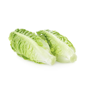 包心罗马生菜新鲜罗马罗纹生菜凯撒即食沙拉蔬菜轻食西餐沙拉食材