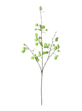 小苹果绿植客厅餐桌装饰品花艺