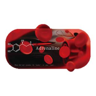 RETLPER反光车贴 原创 追风逐日 心跳肾上腺化学式 汽摩平面贴纸