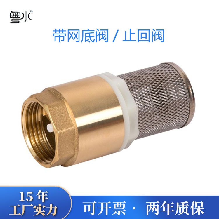 铜止回阀4分6分水泵进水管滤网塑芯铜芯内螺纹带过滤网立式井底阀