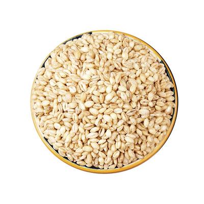 新白青稞米青藏高原粮食谷物