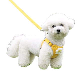 小狗狗牵引绳背心式小型犬泰迪比熊博美专用胸背带幼犬链子遛狗绳