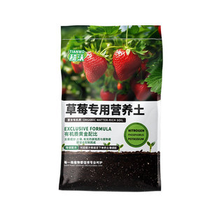 草莓专用营养土阳台草莓苗土壤种植土瓜果树通用盆栽专用肥有机土