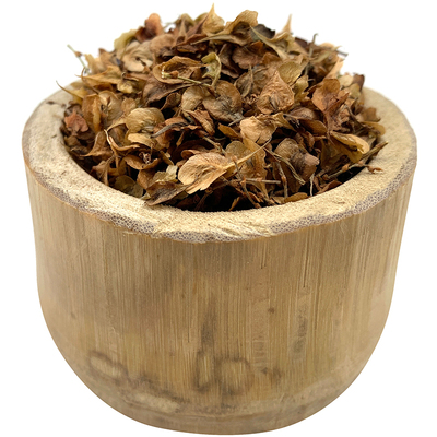 正宗野采何首乌种子发芽率高！