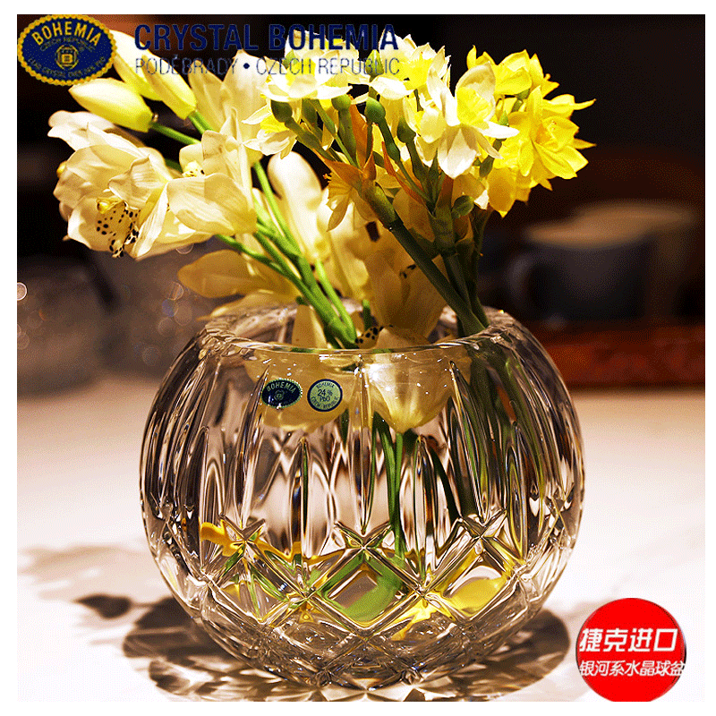 捷克进口BOHEMIA水晶玻璃客厅水养欧式ins球型桌面花瓶插花摆件