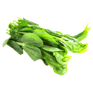 豌豆苗种蔬菜种籽芽苗菜种子四季青菜大全菜籽孑无须碗豆种碗豆尖