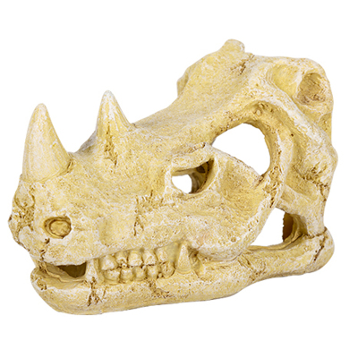 reptizoo宠物蜥蜴豹纹守宫躲避