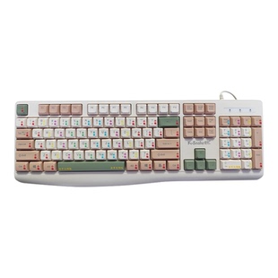 初学者键盘练习打字神器彩色分区指法标注零基础盲打入门专用