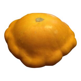 飞碟瓜种子蝶形瓜种籽玩具黄白迷你小南瓜春四季阳台盆栽蔬菜种孑