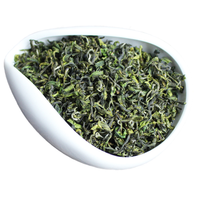 2026日照绿茶新茶古城春春茶栗香