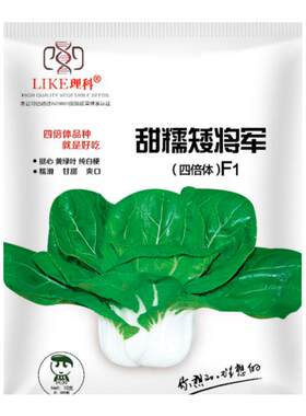 正宗南京老品种矮脚黄种子