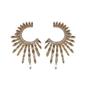 欧美气质耳环2025新款爆款高级感小众轻奢独特耳钉礼服夸张耳饰女