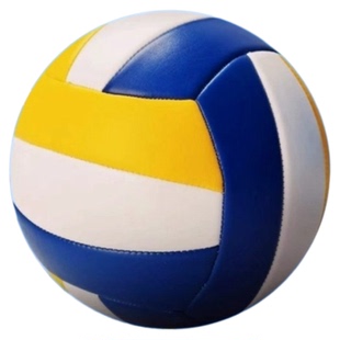 排球初中生中考专用标准款5号小学生训练比赛男女孩2025软式硬排