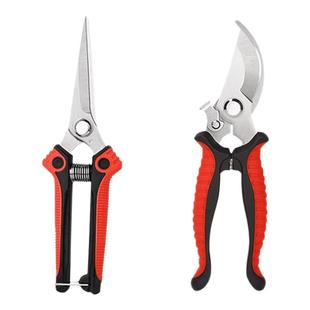 家用不锈钢园艺剪刀修粗树枝插养花卉绿植物盆栽专用园林剪子工具