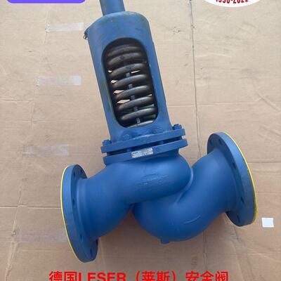 造船厂库存备件，德国LESER（莱斯）安全阀，DN150、P—议价