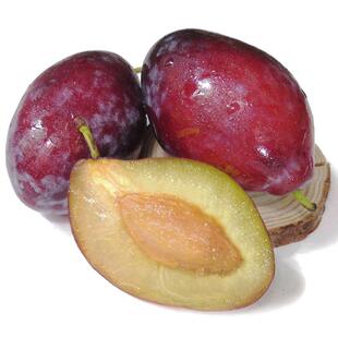 现货 澳洲西梅大果甜李子新鲜水果孕妇法兰西西梅当季批发包邮