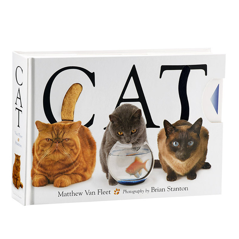 Matthew Van Fleet CAT 猫 英文原版 精装 动物操作书系列纸板书 进口童读物 低幼亲子趣味启蒙认知触摸游戏书 3-6岁