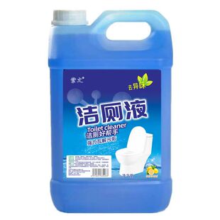 紫文洁厕液浓缩型不刺鼻马桶清洁剂洁厕灵除臭垢大桶【可开发票】