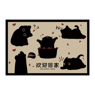 丝圈地垫入户门垫2025新款耐磨防滑可擦免洗家用进门玄关地毯定制