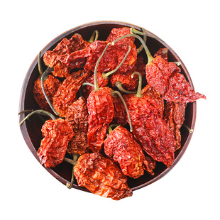 正宗印度魔鬼辣椒涮涮辣超辣王变态辣断魂椒象鼻辣干辣椒50g包邮