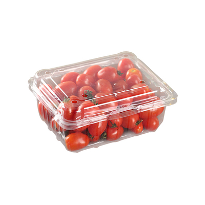 透明有盖蔬菜打包盒一次性水果盒
