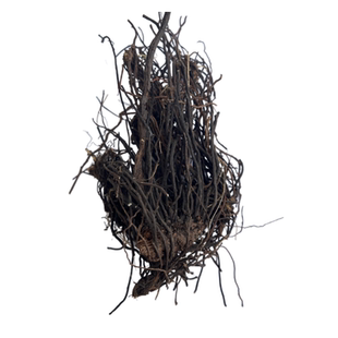 东北黑龙江威灵仙500g草材威灵仙老虎须中草根泡酒搭配鸿毛