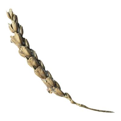 复古风手绘彩铜女胸针小众配饰